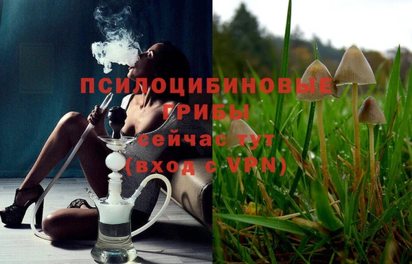 бутират Мегион