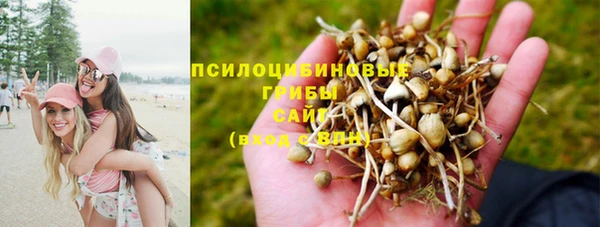 герыч Майский