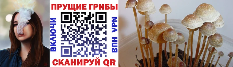 Псилоцибиновые грибы GOLDEN TEACHER  MEGA маркетплейс  Змеиногорск 